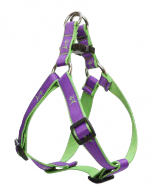 Lupine Club Step-in Harness