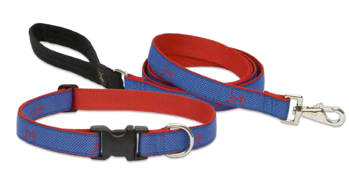 Lupine Club Leash