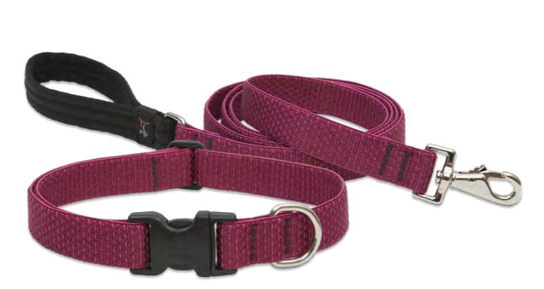 Lupine Eco Leash