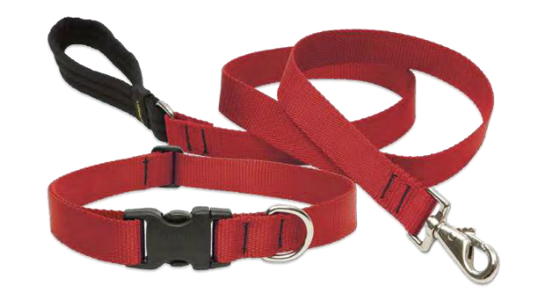 Lupine Basic Leashes