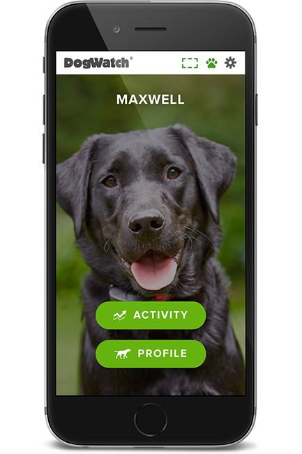 DogWatch of Delaware, Newark, Delaware | SmartFence WebApp Image