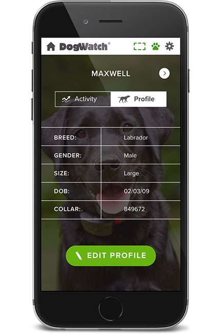 DogWatch of Delaware, Newark, Delaware | SmartFence WebApp Image