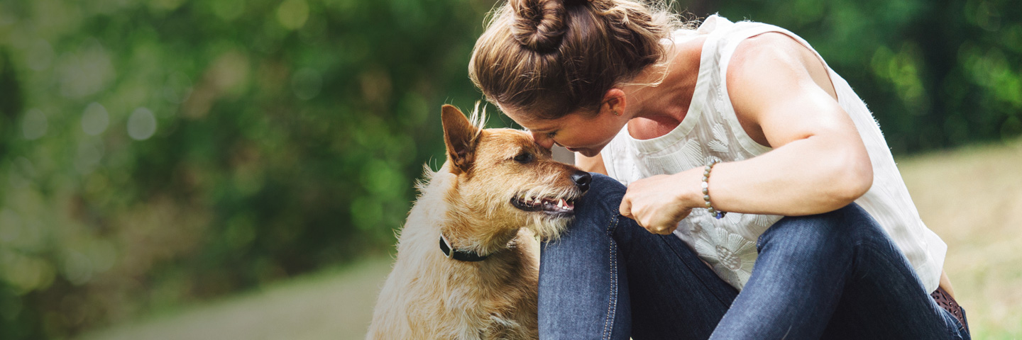 DogWatch of Delaware, Newark, Delaware | BarkCollar No-Bark Trainer Slider Image